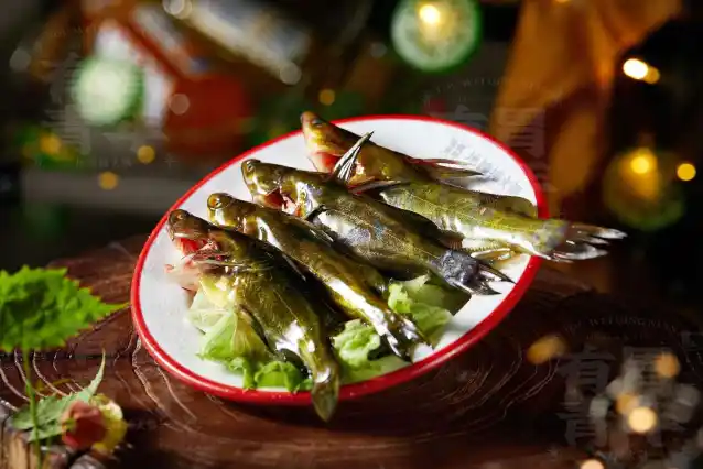 现杀黄辣丁